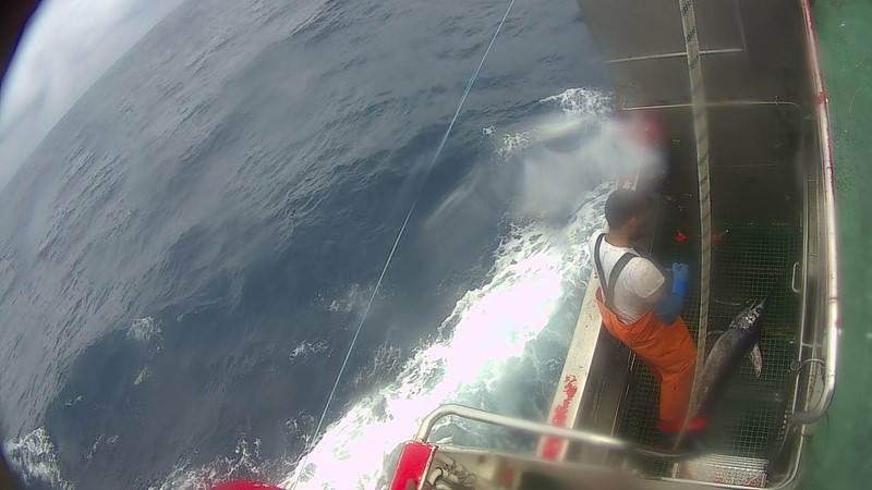 Orpagu promove as bases para a estandarización do observador electrónico na pesca española