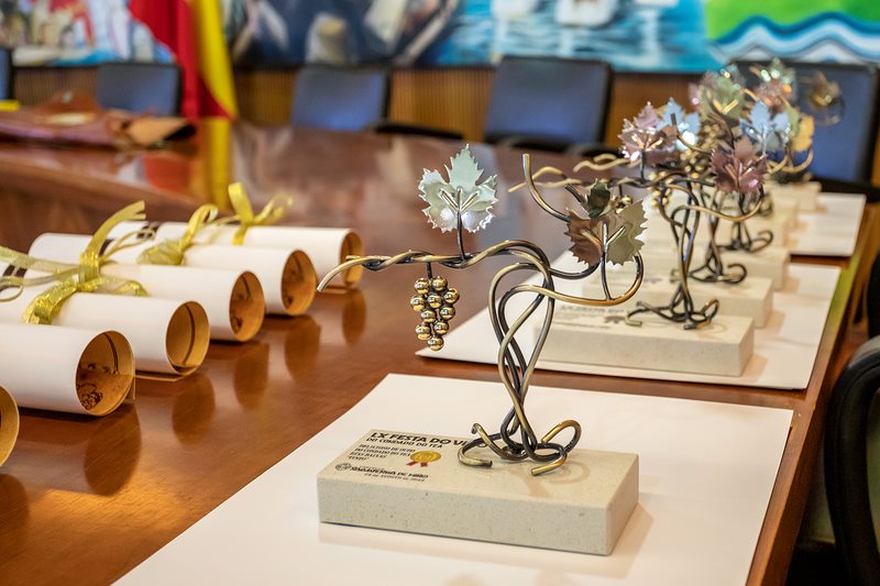 Salvaterra prepárase para a LXII Festa do Viño do Condado do Tea