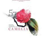 Camelias_Pontevedra