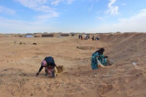 O Fondo Galego contribúe a reforzar a limpeza dos campamentos de refuxiados saharauís