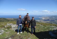 Baiona organiza un Safari Etológico busca dos cabalos salvaxes do Alto da Groba
