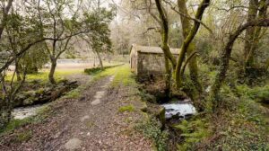 Concedido ao Concello de Tui ao obradoiro dual de emprego “Senda río Furnia”