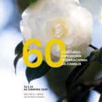 Cartel_&0 Concurso Camelia_Pontevedra